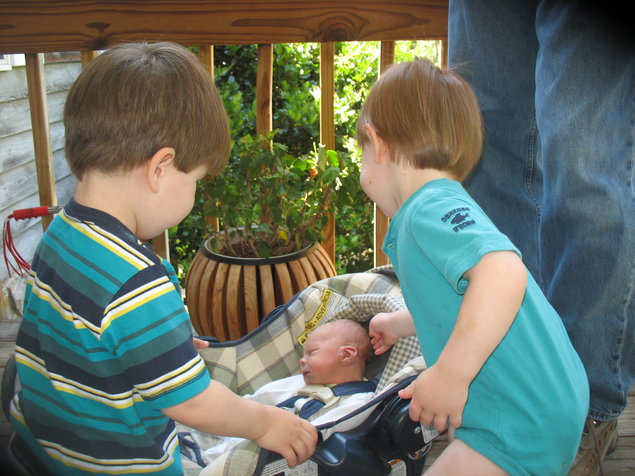 3boys.jpg